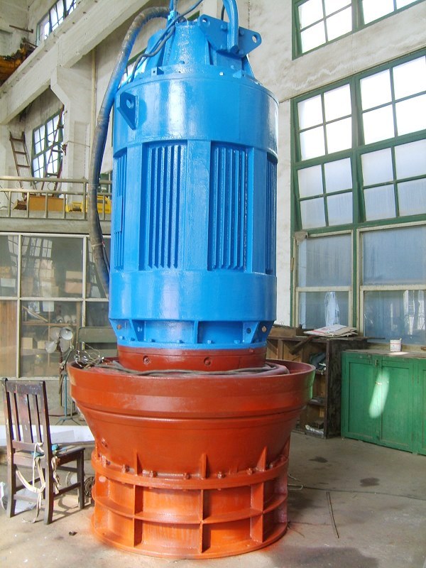 軸流潛水泵電機(jī)